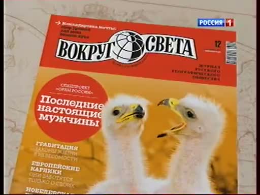 Вокруг света орел. Вокруг света журнал Avito\. Журнал вокруг света январь 2021. Реклама вокруг света Адмонитор. Вокруг света журнал ADMONITOR.